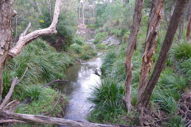 On Tap 6 Hilliards Creek from the foot bridge at Troy Street, Ormiston