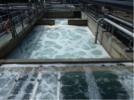 Wet commissioning of the bioreactor and membranes at the Point Lookout WWTP