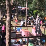 Indigi Day Out