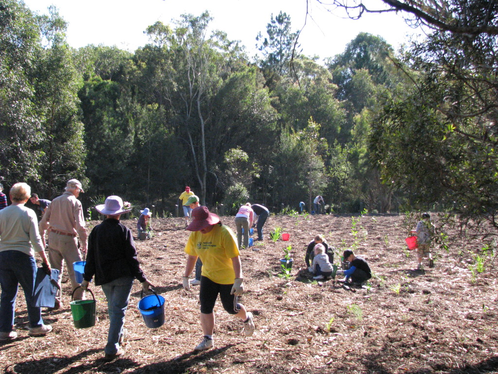 An example of community and council working together planting along Eprapah Creek, Victoria Point as part of National Tree Day last year.  