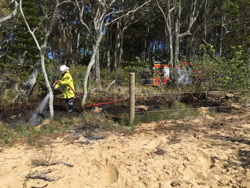 Beach Fire Spreads 14 1 2016 Redland City Council News