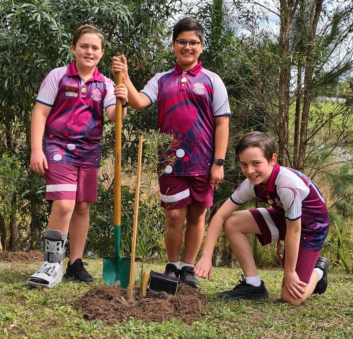 Events celebrate the wattle on Redlands Coast Redland City Council News